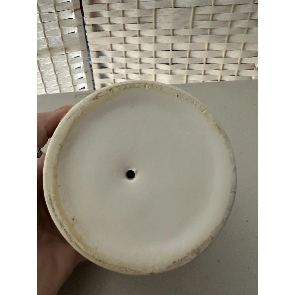 Vintage Ceramic Floral‎ Eggshell Shaped Juicer with Lid